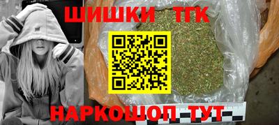 молекула духа Шелехов