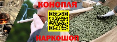 молекула духа Шелехов