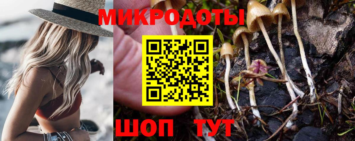 Галлюциногенные грибы Psilocybe  Вход с VPN  Галлюциногенные грибы ЛСД  Мурманск 