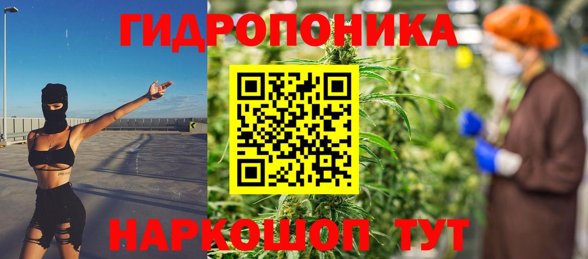 Конопля VHQ  Марихуана LSD WEED  Шишки марихуана OG Kush  Мурманск  Каннабис VHQ  Вход с VPN 